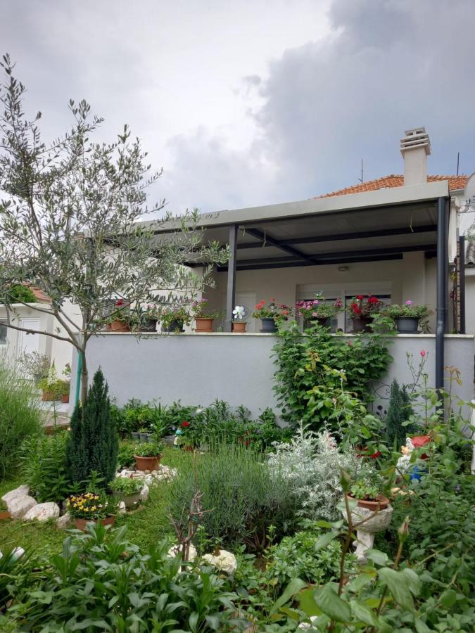 Luxury Apartment Bella Zadar Dış mekan fotoğraf